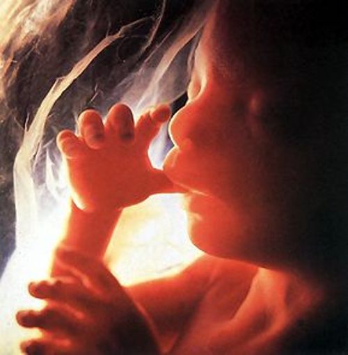 Католики США требуют отлучить от причастия политиков, выступающих за аборты 