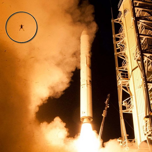 ladee-launch-frog-photobomb.jpg