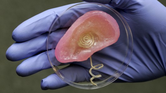 Ученые создали 3D-печатное бионическое ухо, способное "слышать" радиоволны