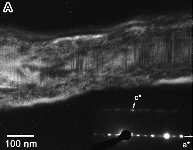 Кометная пыль была впервые обнаружена на поверхности Земли