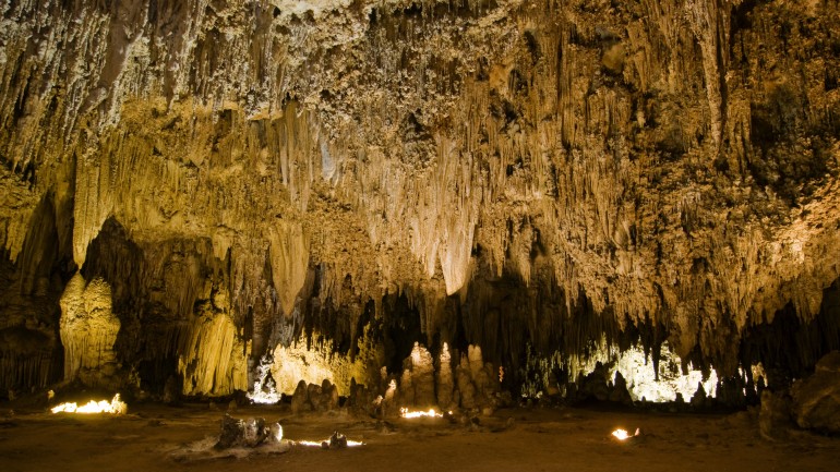 Устойчивые к антибиотикам бактерии обнаружены в изолированной пещере Нью-Мексико