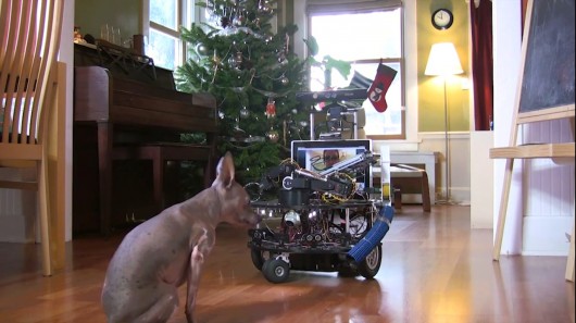 DarwinBot - робот-сиделка для домашних животных