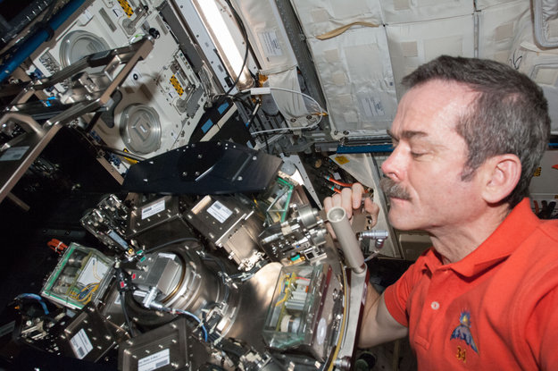 Кадр Дня: американский астронавт осуществляет работу на МКС