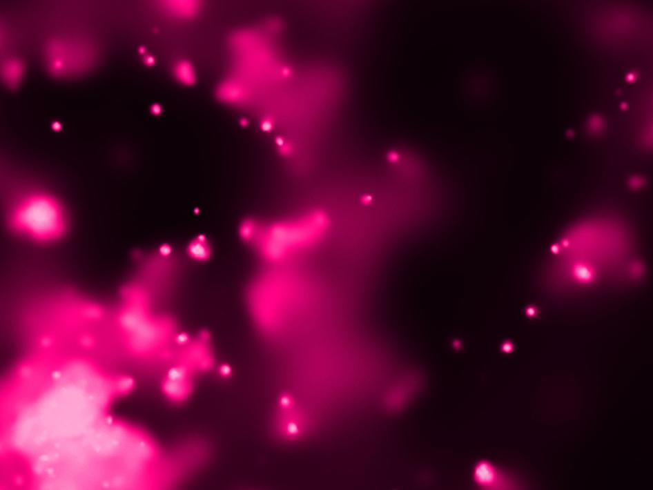 Обсерватория Чандра поймала малиновую галактику
