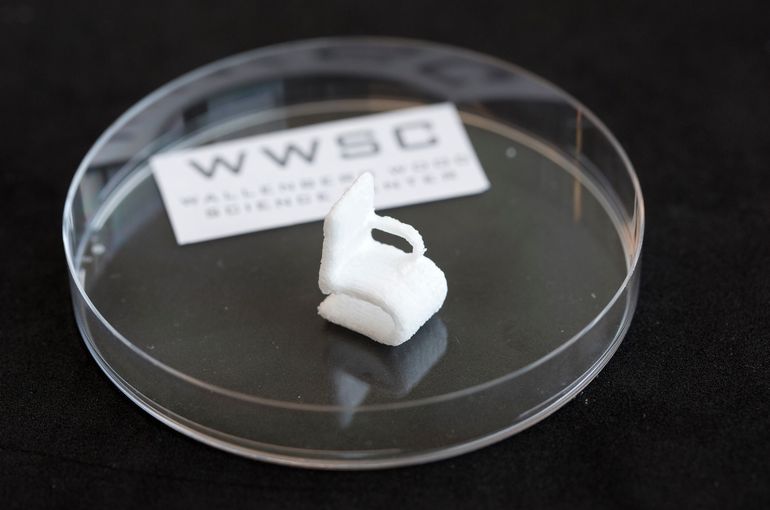 3D-объекты напечатаны целиком из древесной целлюлозы