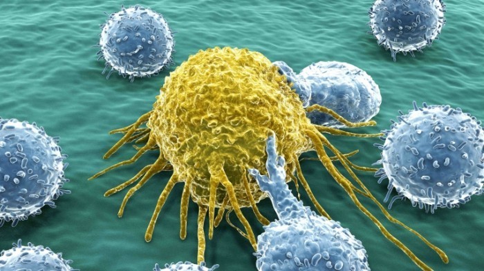 Рак желудка: причины, признаки и методики лечения