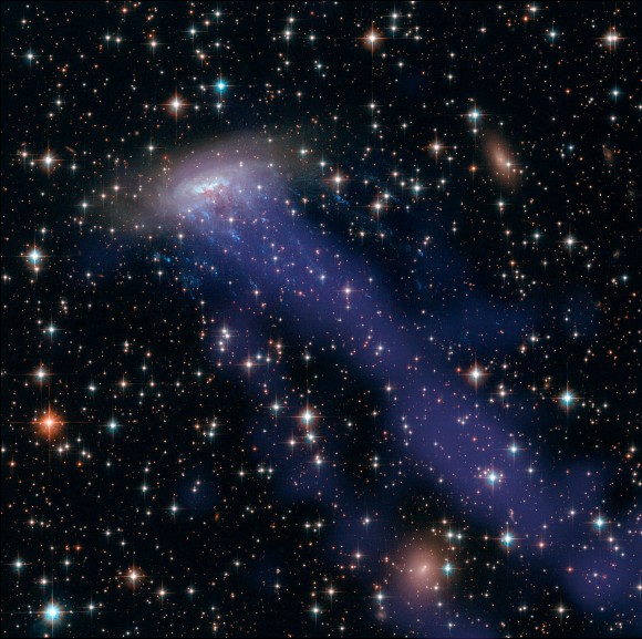 Медузоподобная галактика ESO 137-001, видимо, распространяется по всему космосу