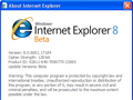 Internet Explorer 8. Браузер будущего. Первый взгляд