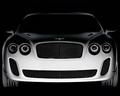 Автомобильные новинки 2009 года. Спортивная модель Bentley