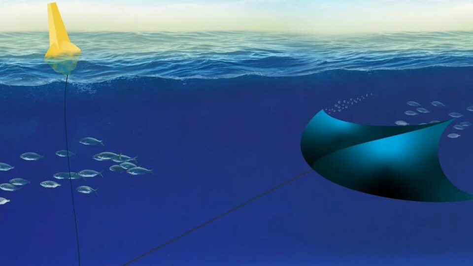 Система приливного течения будет использовать подводного ската для выработки электроэнергии