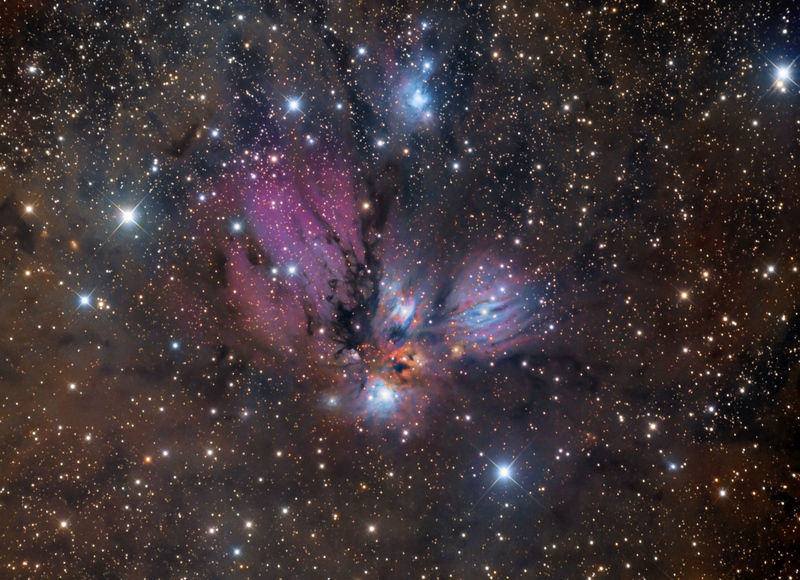 Кадр Дня: сногсшибательное изображение туманности NGC 2170