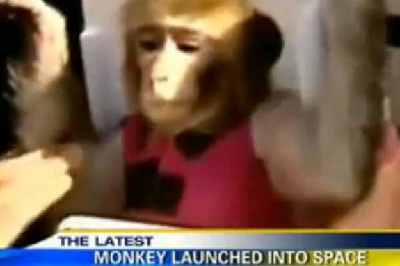 Иран сообщил о втором успешном запуске обезьяны в космос