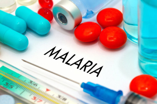 Вакцина от малярии дает хорошие результаты