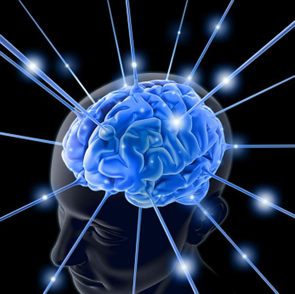 Электромагниты помогут управлять мозговой активностью