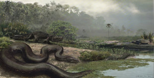 Змеиный T-Rex будет выставлен в ньюйоркском музее