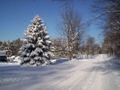 Самонагревающиеся дороги-радиаторы спасут машины от гололёда