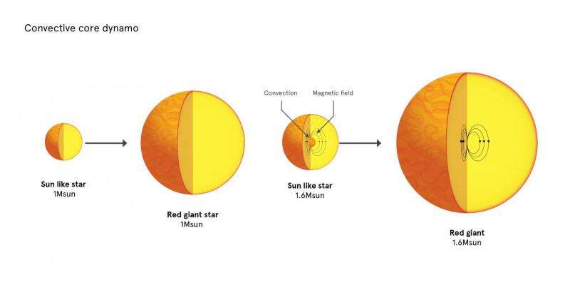 У большинства звезд обнаружены сильные магнитные поля