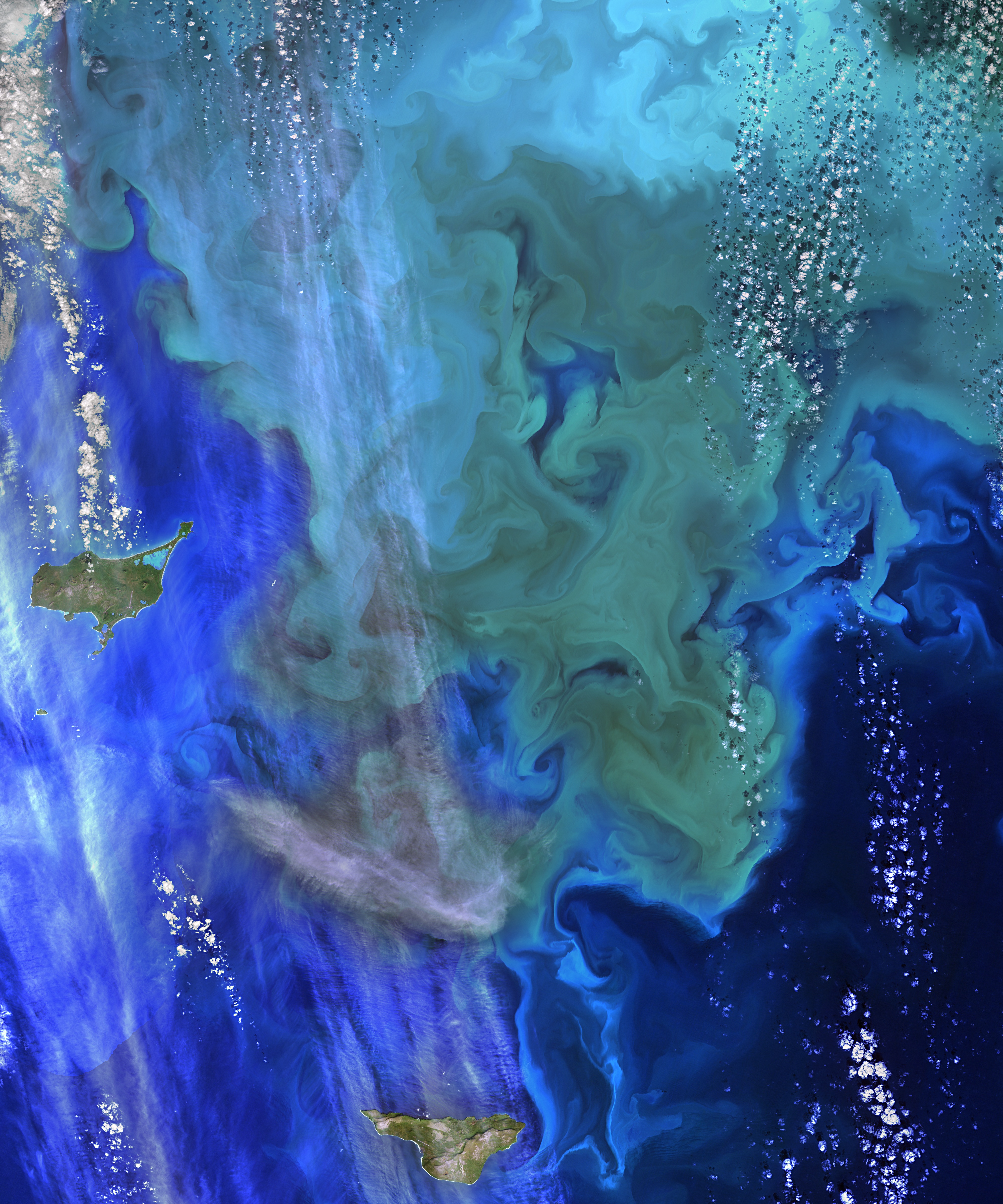 Спутник зафиксировал климатический танец планктона