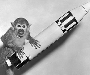 Иран снова попытается запустить обезьянку в космос