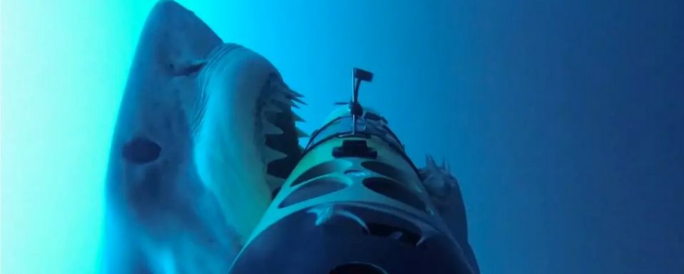 Подводный робот встретился с акулой (видео)