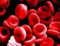 Учёные работают над созданием синтетической крови