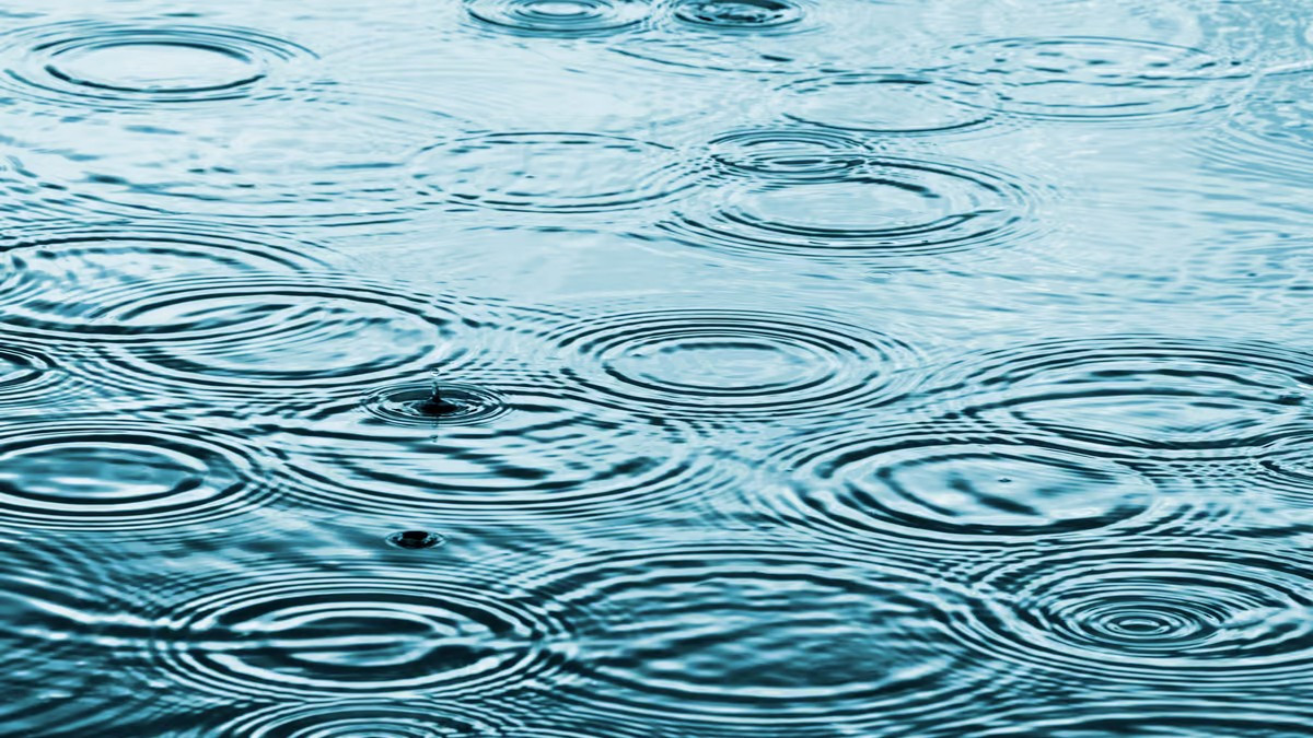 Токсичные химические вещества ПФАС делают дождевую воду небезопасной для питья