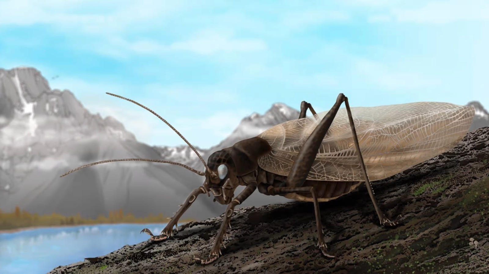 Ученые воссоздали песню давно потерянного насекомого, чтобы снова его найти
