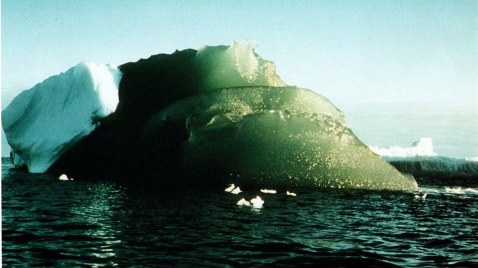 Зеленые айсберги тайно подкармливают всю океаническую жизнь